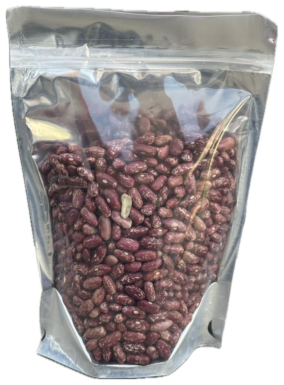 Purple Speckled Kidney Beans DISCO RAJMA Pouch